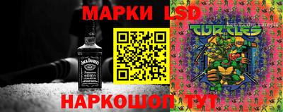 амф Гусь-Хрустальный