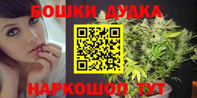 прущие крисы Гусиноозёрск