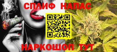 амф Гусь-Хрустальный