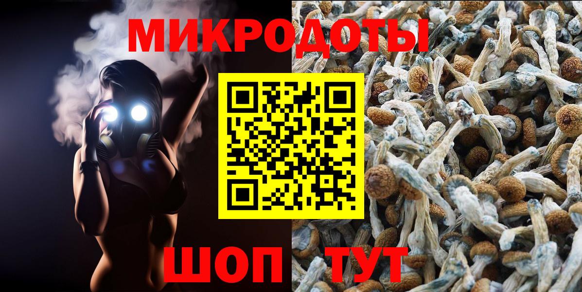 Галлюциногенные грибы прущие грибы Малоярославец