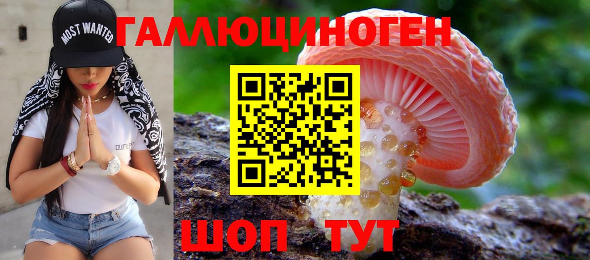 Псилоцибиновые грибы MAGIC MUSHROOMS  купить   Малоярославец  Вход с VPN 